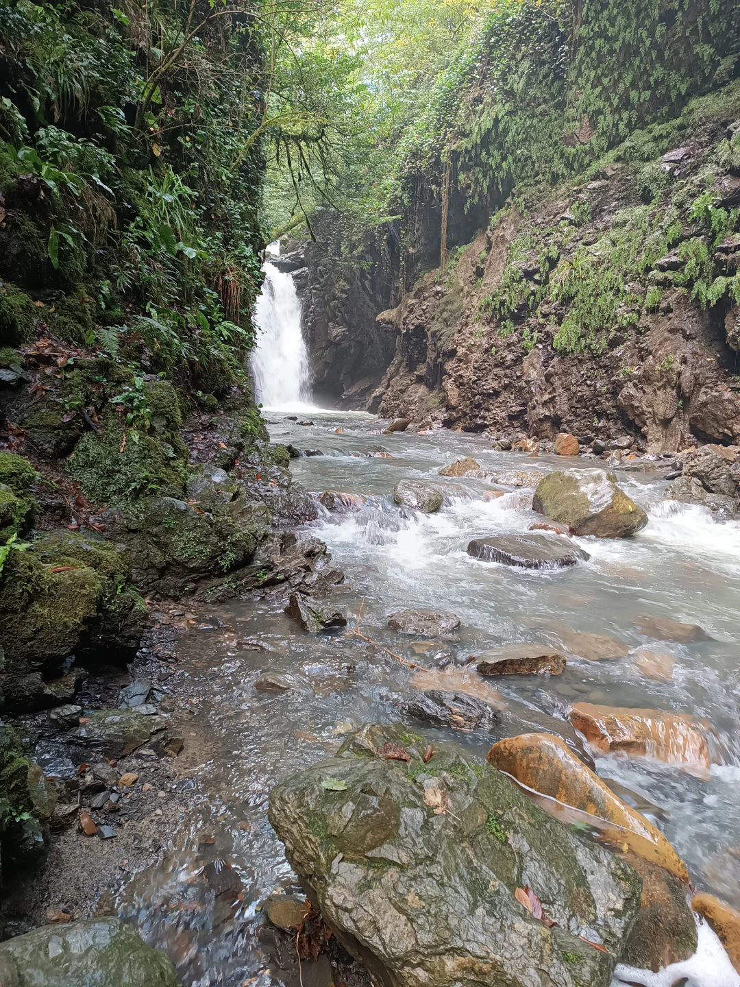 Если сомневаетесь, Не сомневайтесь! Интересно, красиво, впечатления на всю жизнь! Интеллигентно и спокойно, вы услышите много