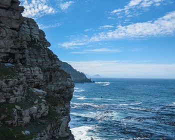 Фото отзыва 4: авторский тур "Все краски ЮАР: сафари, плавание с морскими котиками и пикник в заповеднике"
