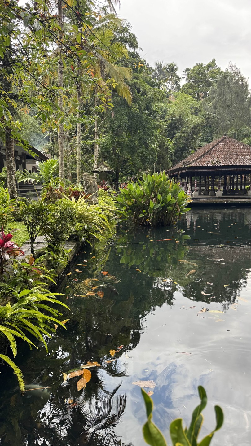 Традиции и обряды Бали (Евгения)