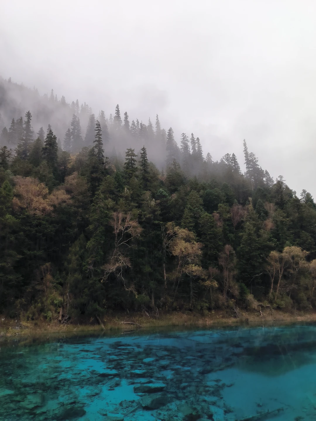 Тур полностью оправдал ожидания: замечательные природные локации, адекватный график переездов, хорошие условия проживания. Маршрут не трудный: