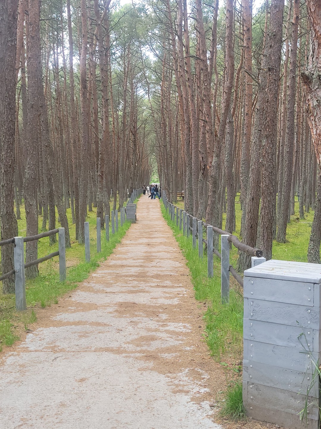 Все понравилось. От машины и обеда в ресторане до самой экскурсии. Ребенок 10 лет в восторге,