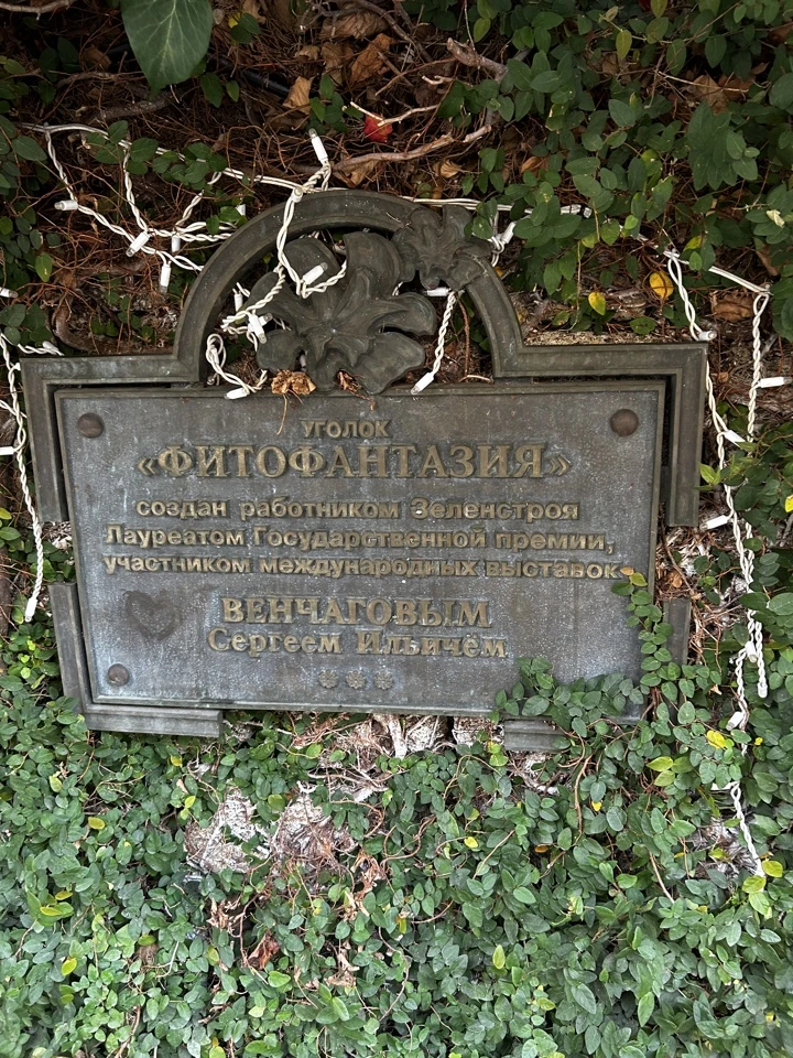 Сочи глазами местных (Елена)