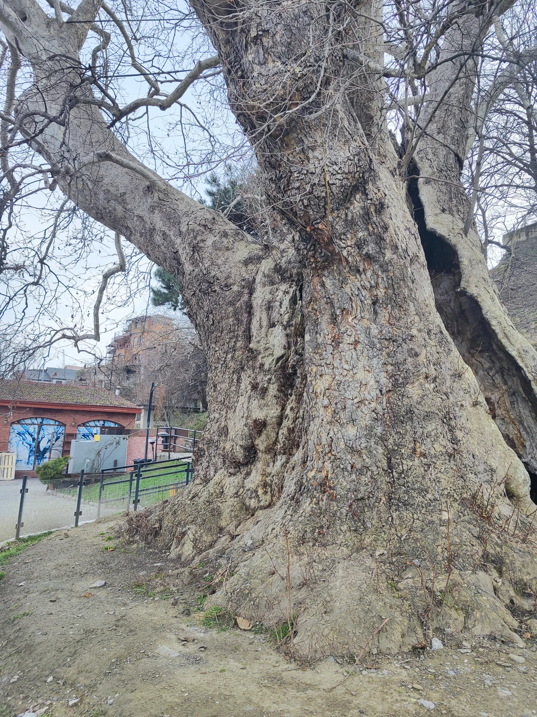 10 часов экскурсии по Кахетии пролетели быстро!