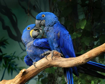 Национальный парк «Сан-Рафаэль»