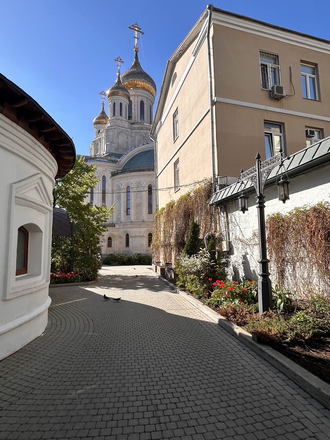 НеобыЧайная прогулка по Москве (Светлана)