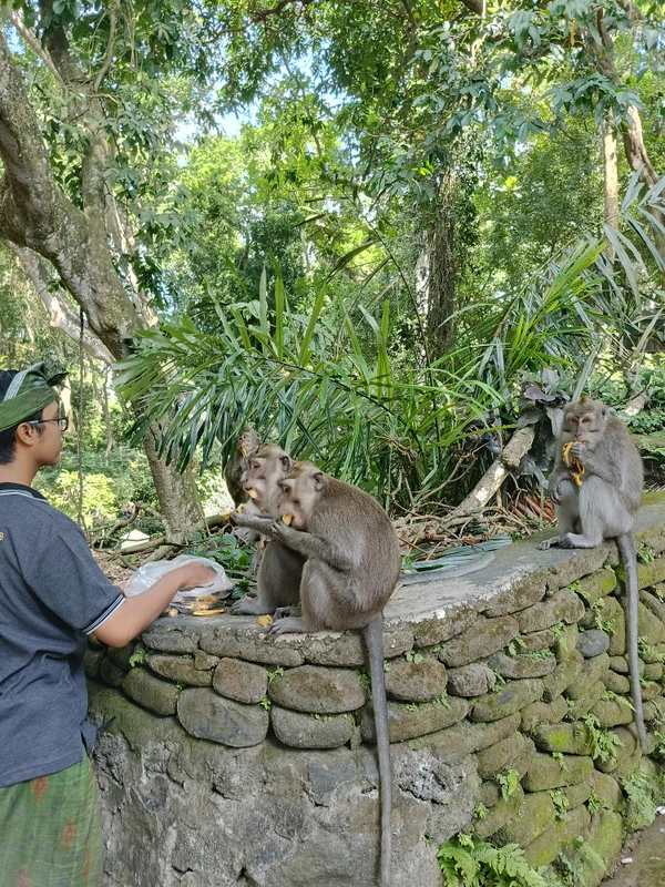 Убуд - сердце культурной жизни Бали