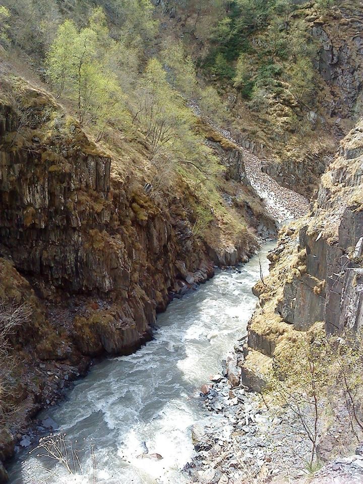 Тур одного дня: археологические раскопки и музей Дманиси (6/6)