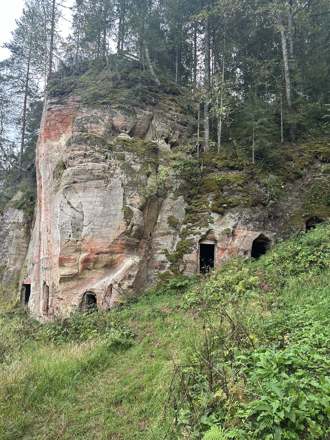 Прекрасный день с отличным гидом! Редко встретишь настолько знающего и любящего свое дело профессионала! Полнейший восторг