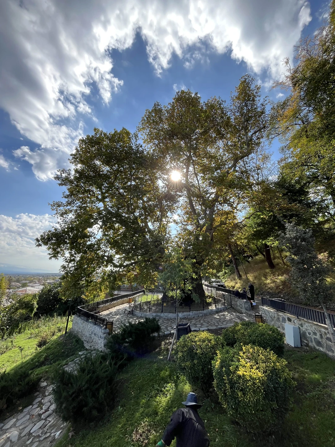 Гамарджоба, Кахетия, винный край (Диана)