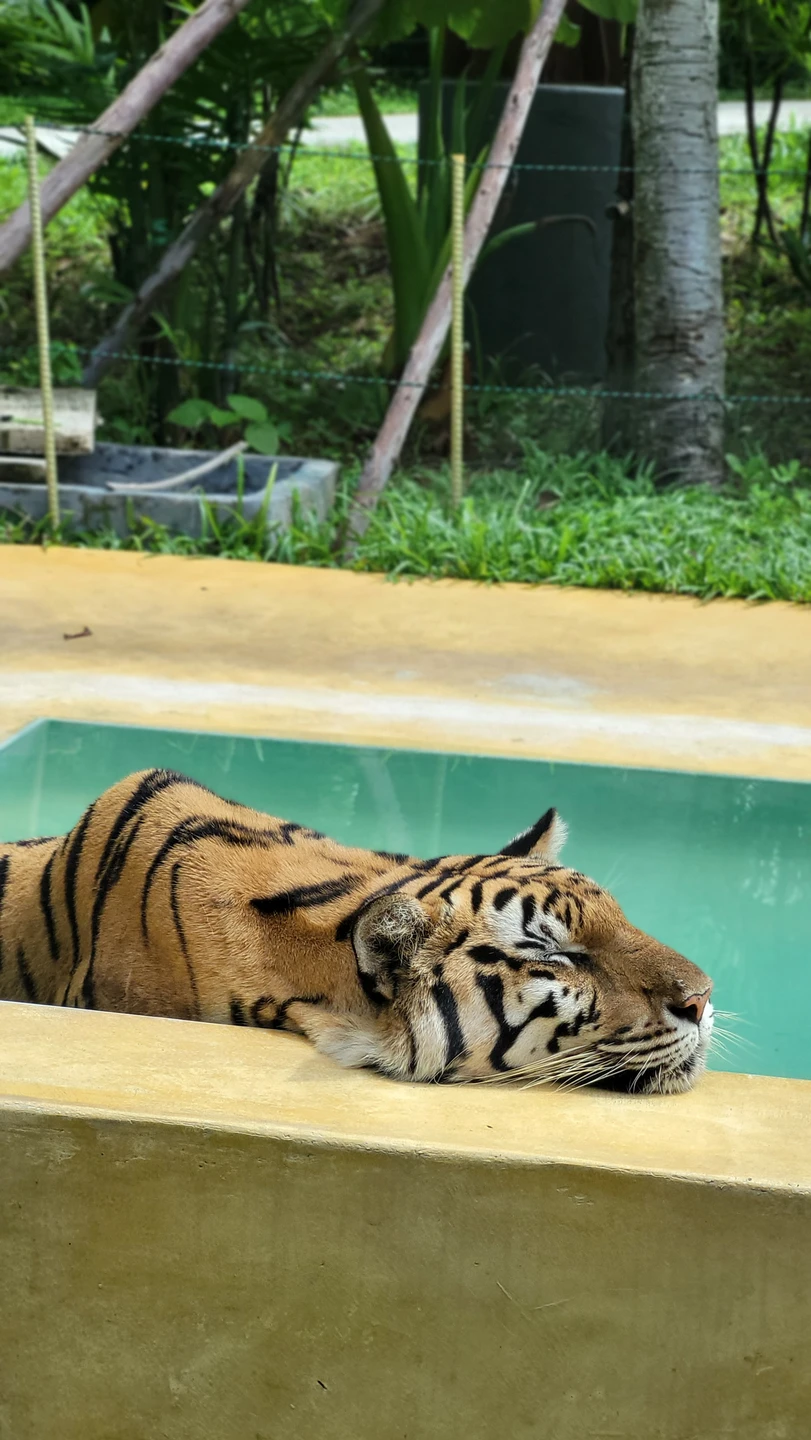 Настоящий Пхукет за 1 день (Кристина)