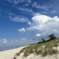 Фото отзыва 5: экскурсия "Волшебная Куршская коса"