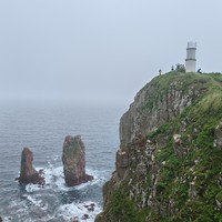 Фото отзыва 3: экскурсия "Релакс-путешествие по островам Японского моря — с гастрономической паузой"