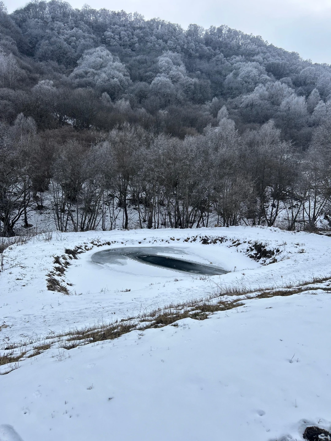 Я приехал в Кисловодск в санаторий и решил выбраться на природу на пикник. О базе отдыха