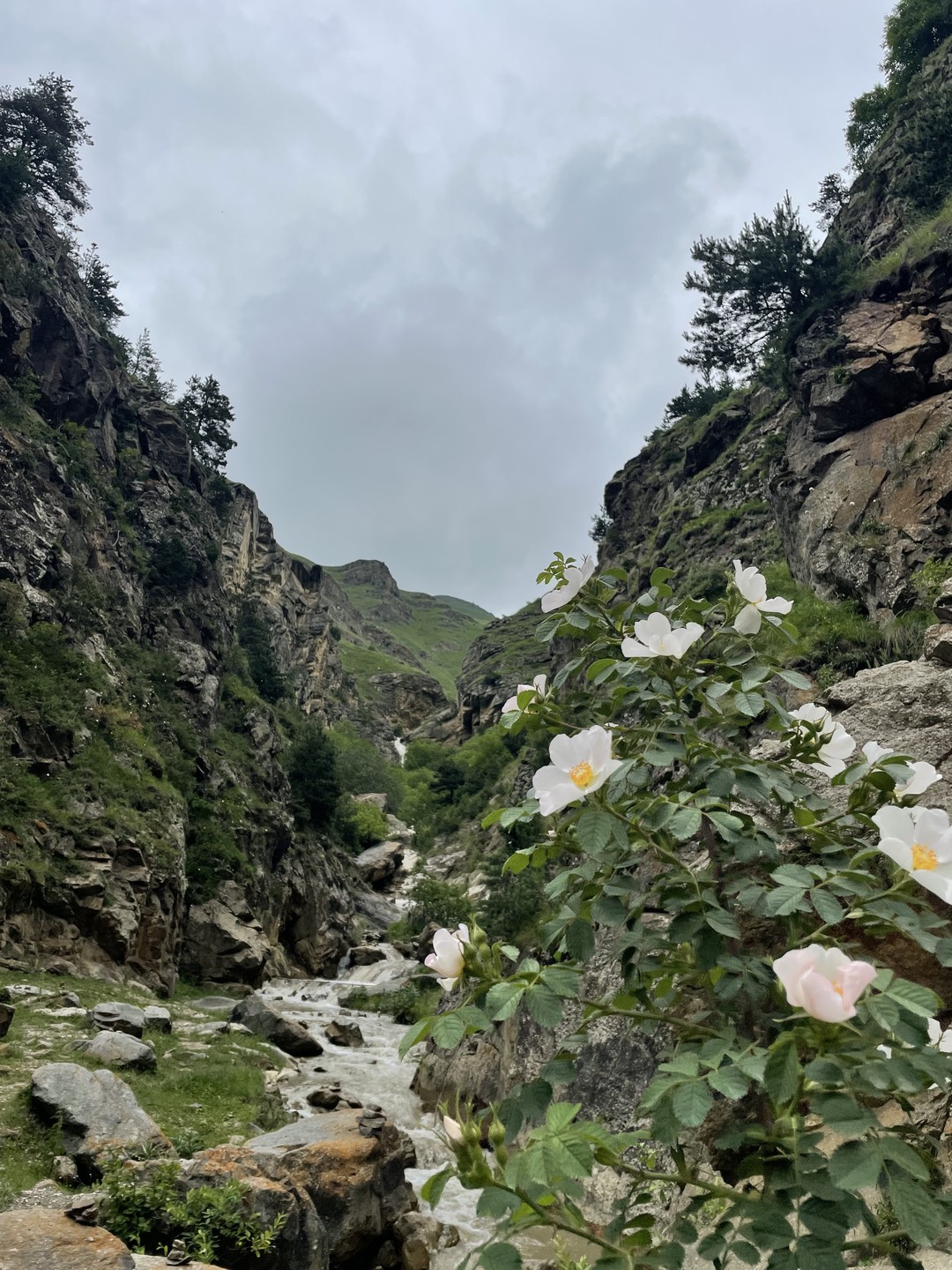 Наша поездка была с Зелимханом. Все прошло на высшем уровне! Будем советовать знакомым данный маршрут! Спасибо!