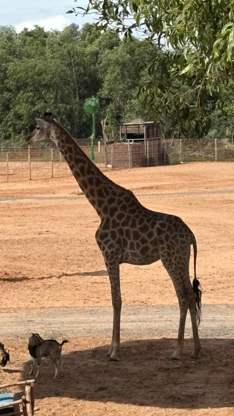 Михаил, спасибо большое за замечательную экскурсию! Время, проведенное с вами, пролетело словно в минуты теплого общения