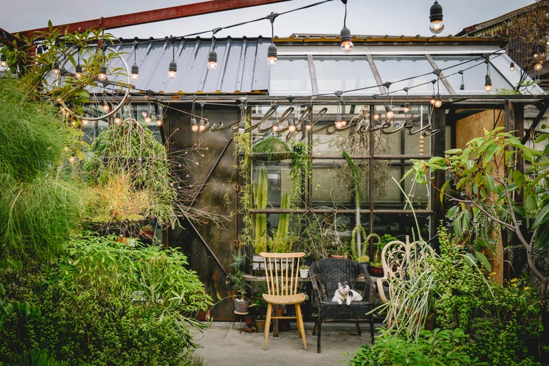 От лапши к джазу: гастропрогулка по Бангкоку