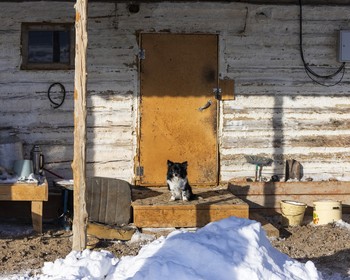 Фото отзыва 3: авторский тур "Новогодний сон Алтая"