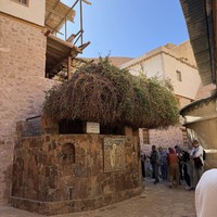 Фото отзыва 3: экскурсия "Рассвет на горе Моисея"
