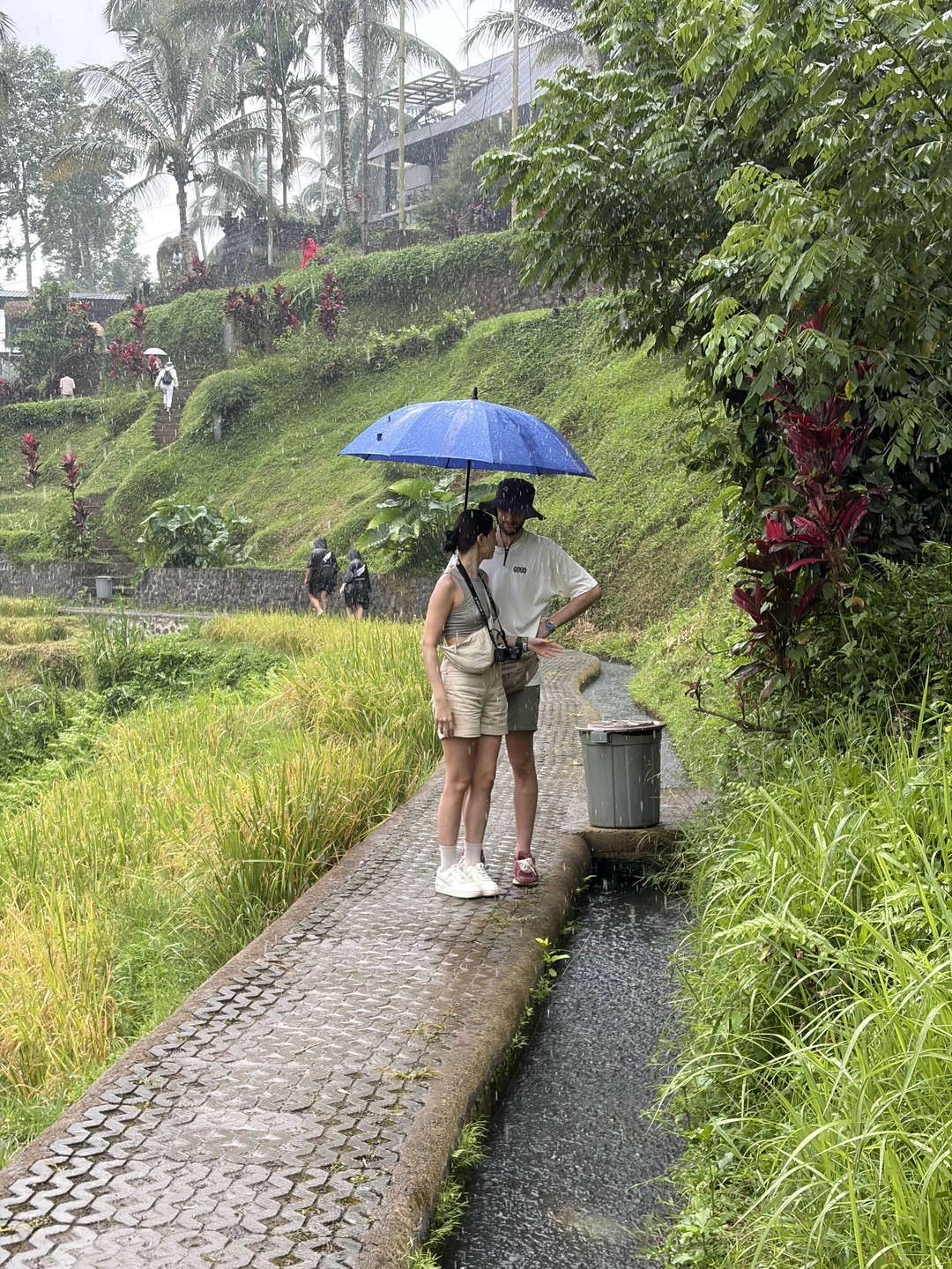 Все четко! Получили массу впечатлений несмотря на ливень. Обезьяны стащили только пакет к орешками и бананами