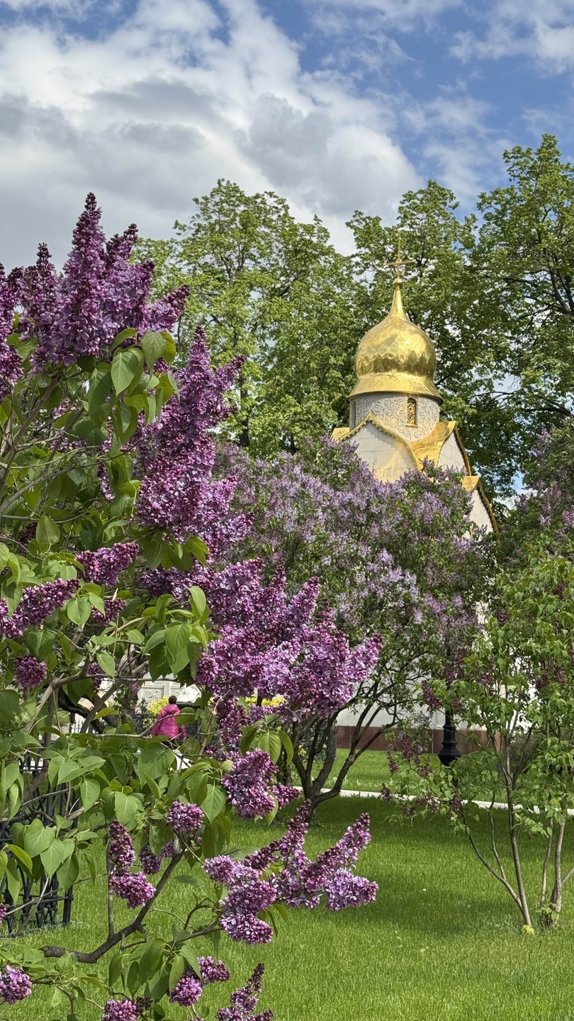 Светская экскурсия в прошлое и настоящее Новодевичьего монастыря (Алла)