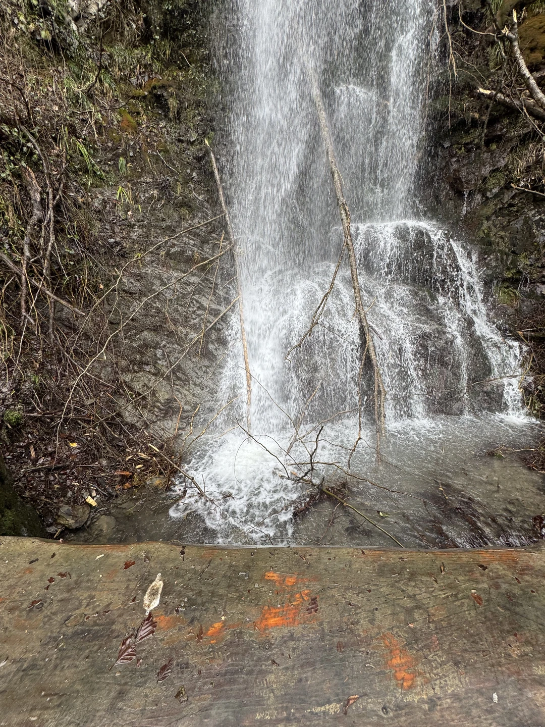 Отличное путешествие с приятным гидом. Посмотрели все, что запланировали, услышали много интересного о местах, которые посещали