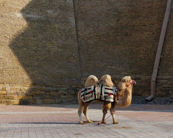 Крепость Арк, кукольный музей, дворец Ситораи Мохи-Хоса