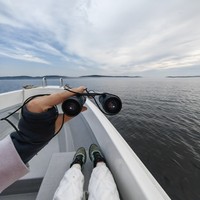 Фото отзыва 3: экскурсия "В поисках Ладожской нерпы: авторская прогулка на катере"