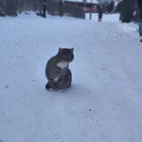 Фото отзыва 2: экскурсия "Изборск и тайны народа сето: на границе России и Эстонии"