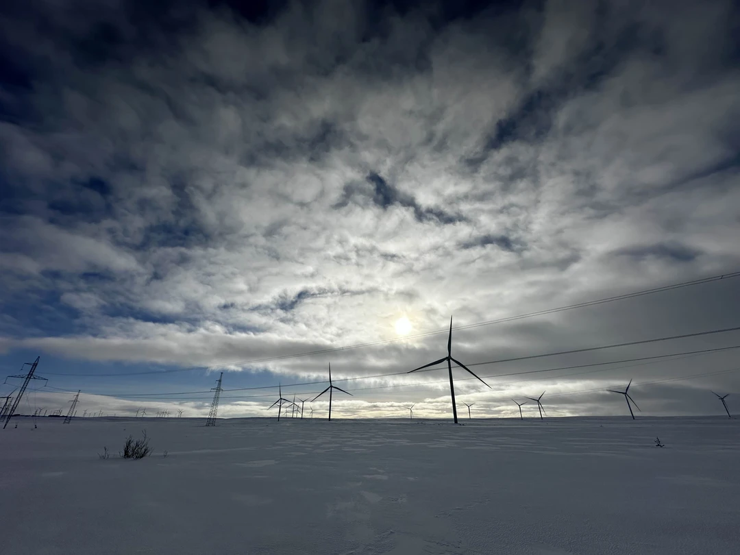 Отличная экскурсия получилась. Всем было интересно. Дети остались в восторге! Впечатления от прогулки по камням, варган