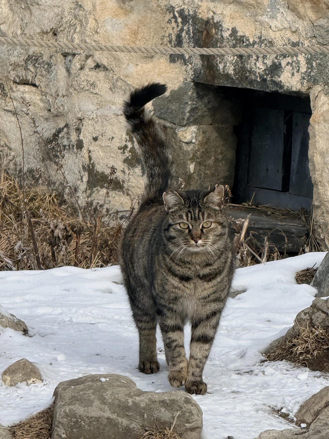 1 день, 3 ущелья, 1001 эмоция (Снежана)