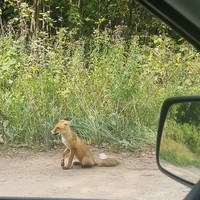 Фото отзыва 1: экскурсия "Карта сокровищ Самарской Луки — для всей семьи"