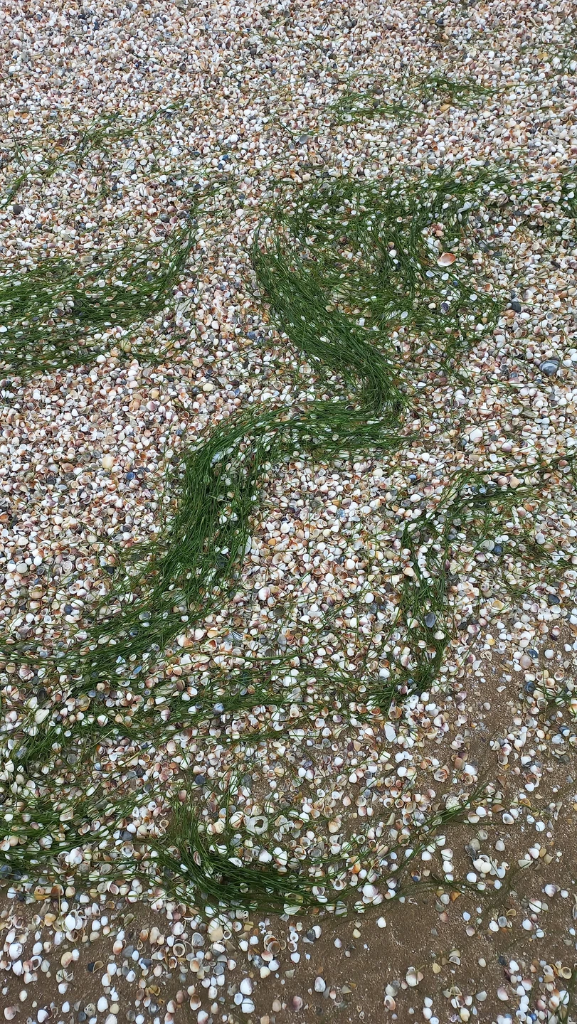 Прекрасная экскурсия с гидом Джамалом! Мы побывали в самой восточной точке Азербайджана- на мысе "орлиный клюв"