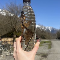 Фото отзыва 1: экскурсия ""