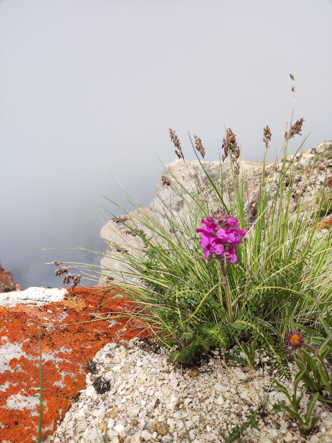 Путешествие на джипе по северу острова Ольхон (Ирина)