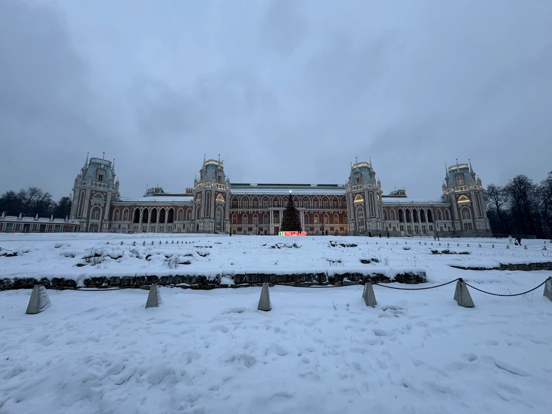 Царицыно: Екатерина Великая и её гениальный архитектор (Ветрова)