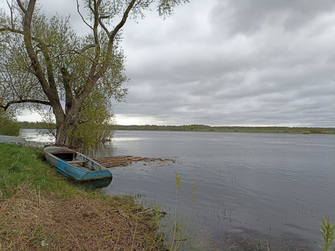 У нас была очень поэтичная поездка. Такие прекрасные русские пейзажи, взгляд отдыхает, когда смотришь в даль