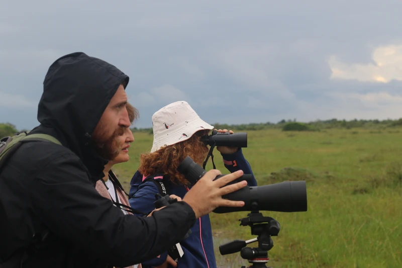 Фото - Экскурсия: "Бёрдвотчинг в окрестностях Батуми"