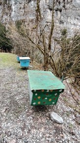 Фото отзыва 6: экскурсия ""