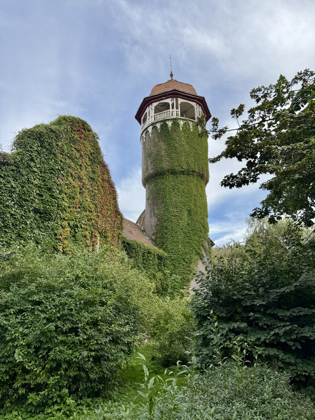 Все понравилось, ждём фото!