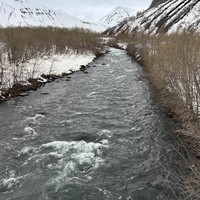 Отзыв о экскурсии "В гости к вулканам: Вилючинский перевал и дикие термальные источники" — фото 3