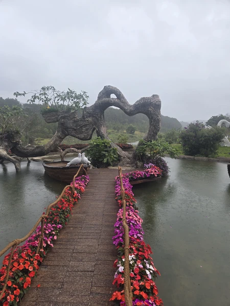 Экскурсия в Далат проходила с гидом Иваном. Организация чёткая по таймингу. Локаций много, все что хотели