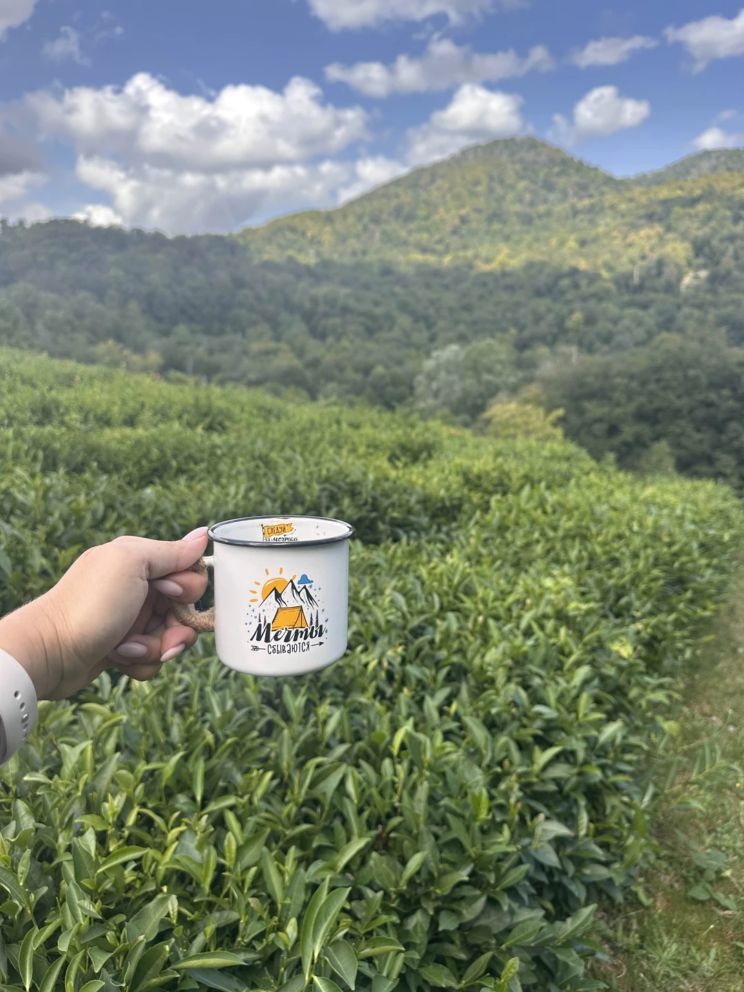 Экскурсия очень разнообразная. Погуляли по волшебному самшитовому лесу, залезли на руины, нафотографировались на чайных плантациях, попробовали