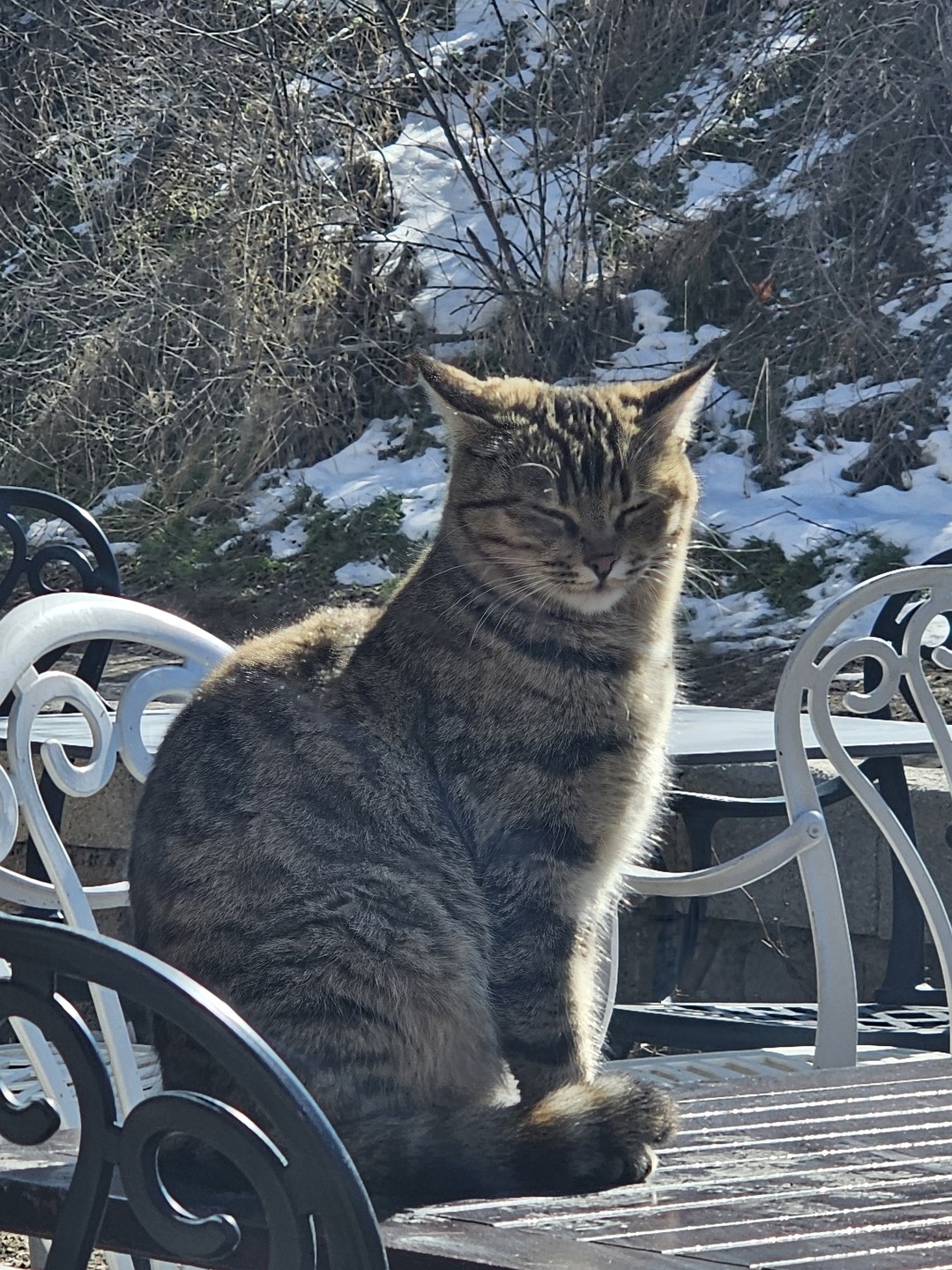 Большое спасибо за организацию, отлично провели два дня! Отель просто супер, кормят отлично. Гид Эрдал, задал