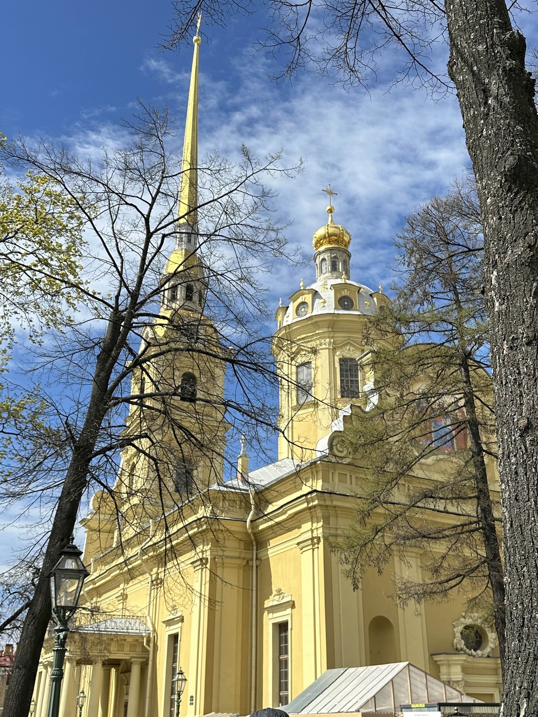 Петербург: обзорная экскурсия на автобусе (Дарья)