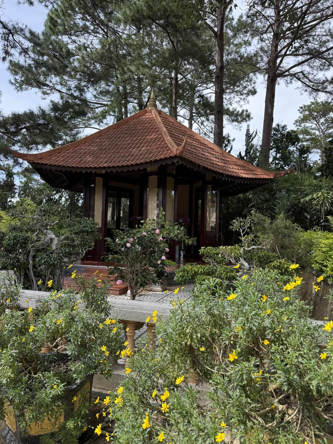 Экскурсия нам очень понравилась. Михаил, как только приехал за нами в отель, расположил к себе абсолютно