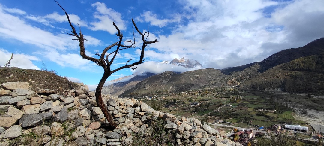 Очень понравился экскурсия: маршрут, гид, водитель, транспорт👍