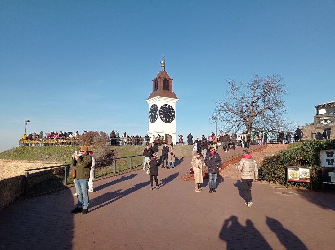 Большое спасибо, очень интересно, программа насыщенная, экскурсия на отлично!!!