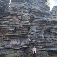 reviews img