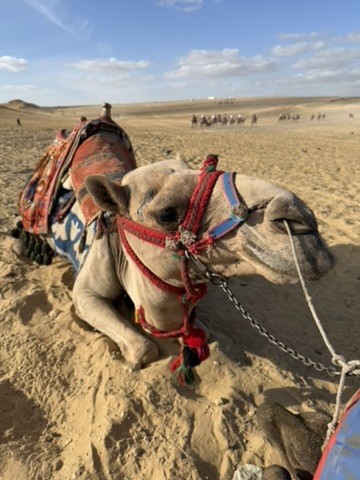 Пирамиды Древнего Египта (Юлия)