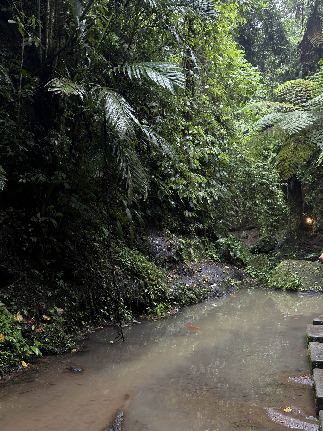 Это лучшая экскурсия, на которой были я и мой муж! Ваян – позитивный, доброжелательный и очень